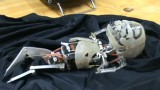 robot robot
